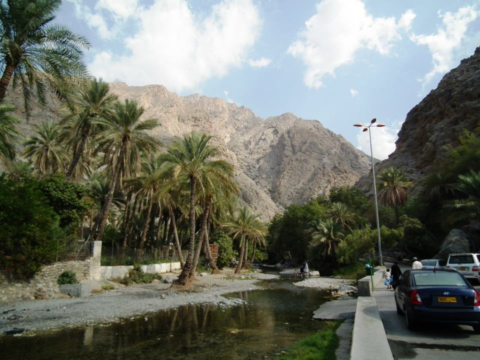 185015_10151293188698993_343533792_n