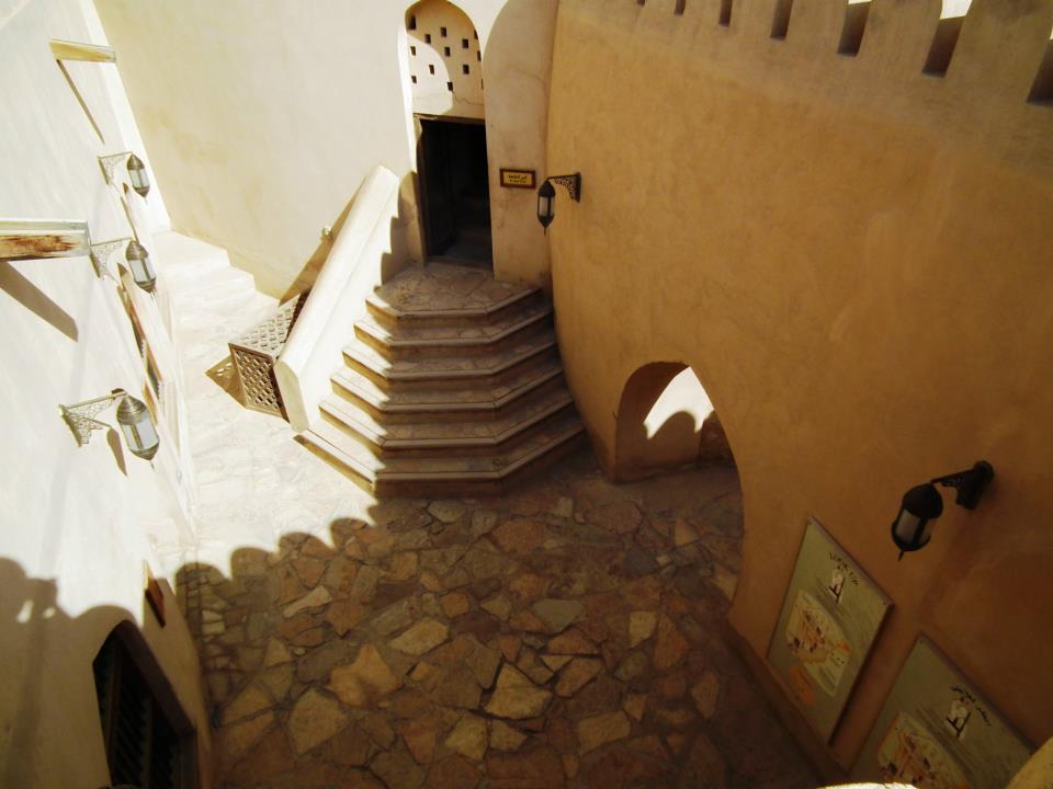 224592_10151293152303993_1355845257_n