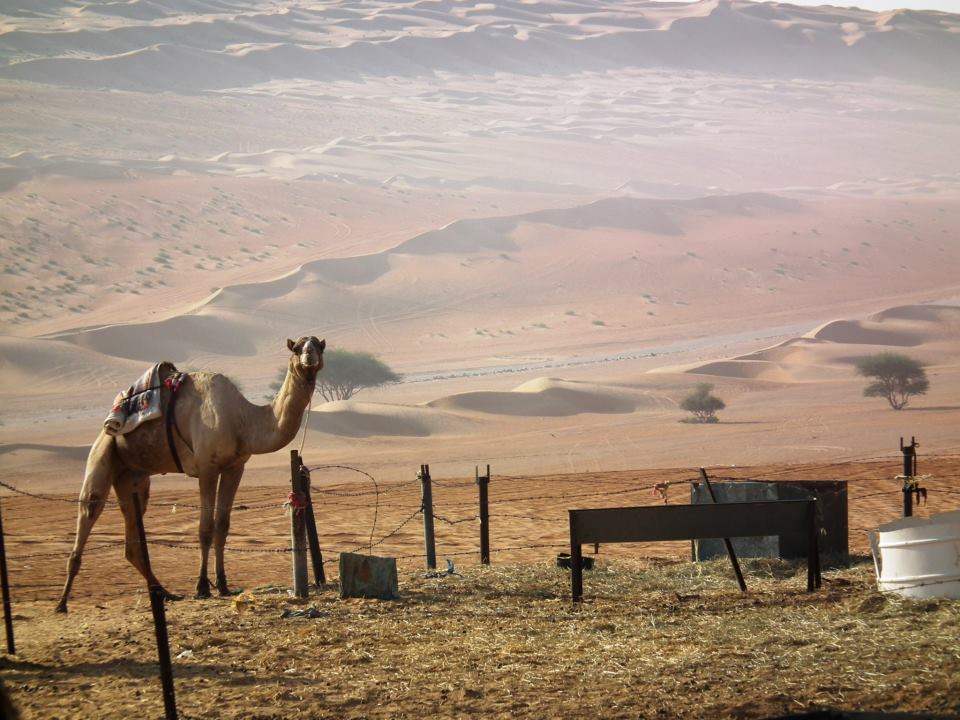 247649_10151293109278993_71353937_n