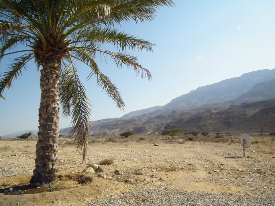 525494_10151292625073993_281324159_n