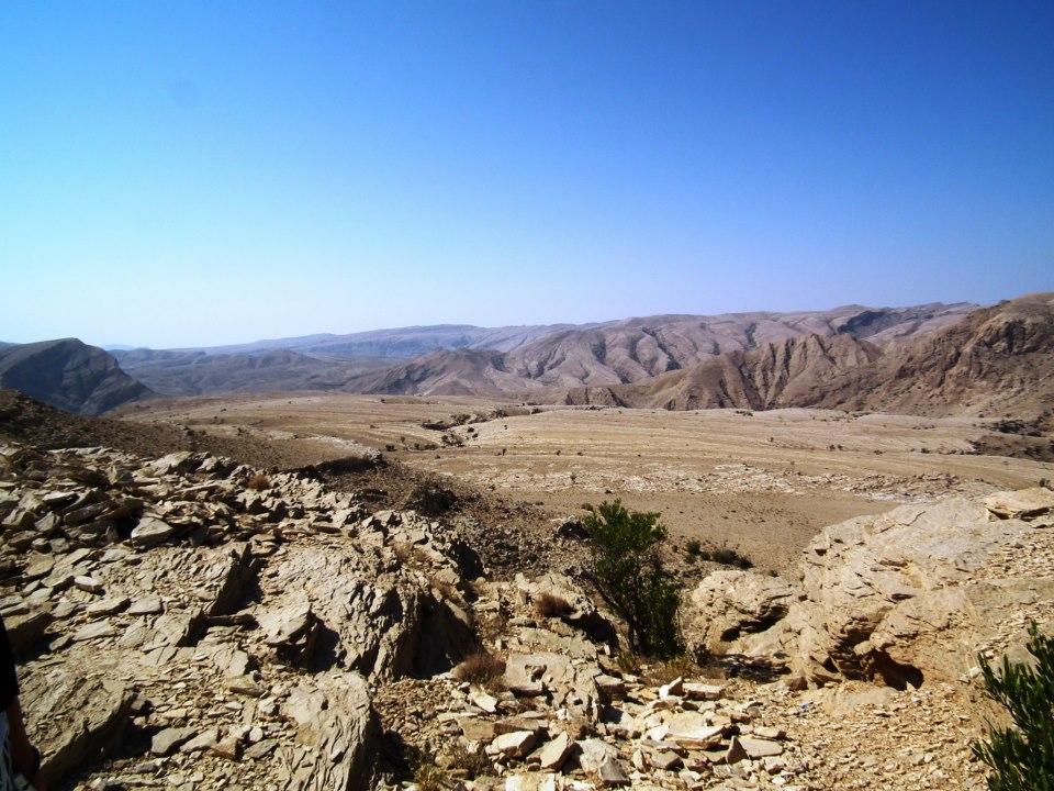 60360_10151293069728993_688647635_n